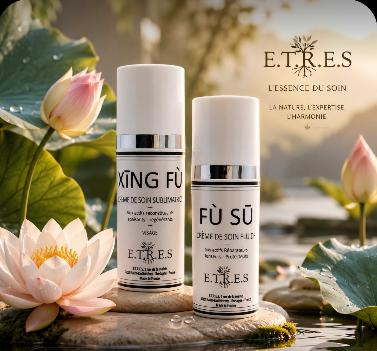 XING FU Face Cream - 50 ml